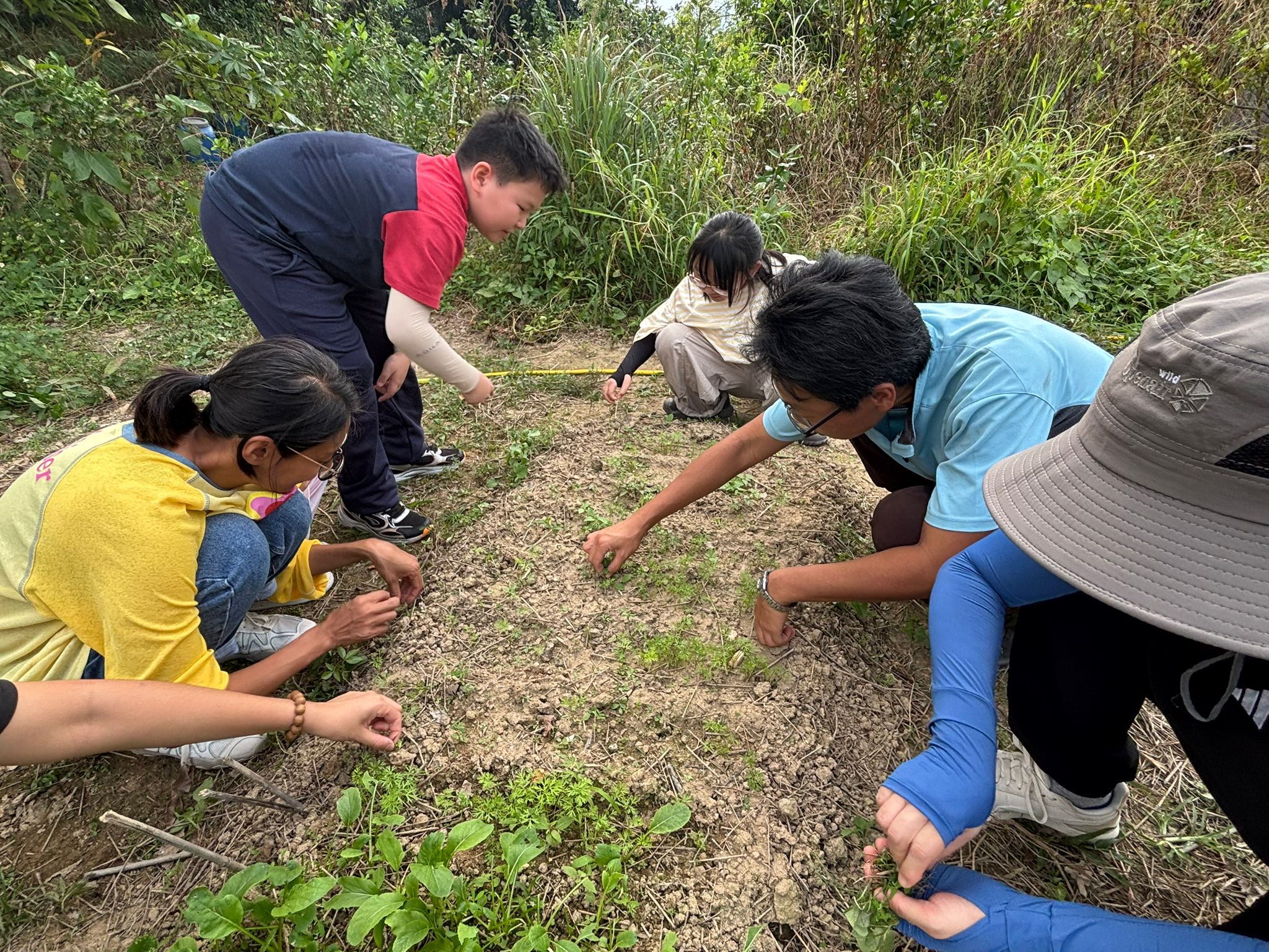 https://zeshanfoundation.org/wp-content/uploads/2026/01/enews004-開心農田小組進行秋播，於農田種植紅蘿蔔和菜心.jpeg